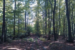 005-duzluk-manastir-kapavac-javor-cesljakovacki-vis-kamenolom