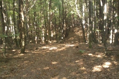 006-duzluk-manastir-kapavac-javor-cesljakovacki-vis-kamenolom