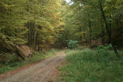 008-duzluk-manastir-kapavac-javor-cesljakovacki-vis-kamenolom