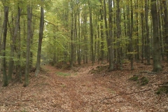 009-duzluk-manastir-kapavac-javor-cesljakovacki-vis-kamenolom