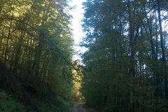 001-drenovac-uviraljka-greben-sokolina-biciklisticka-ruta