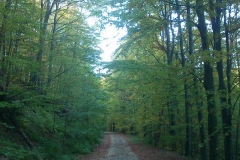 002-drenovac-uviraljka-greben-sokolina-biciklisticka-ruta
