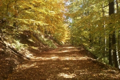 005-drenovac-uviraljka-greben-sokolina-biciklisticka-ruta