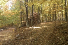 006-drenovac-uviraljka-greben-sokolina-biciklisticka-ruta
