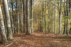 012-drenovac-uviraljka-greben-sokolina-biciklisticka-ruta