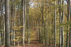 013-drenovac-uviraljka-greben-sokolina-biciklisticka-ruta