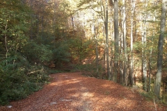 001-drenovac-uviraljka-greben-sokolina-biciklisticka-ruta-v2