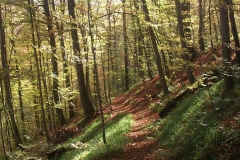 008-drenovac-uviraljka-greben-sokolina-biciklisticka-ruta-v2