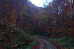 002-kutjevo-biciklisticka-ruta