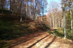 005-kutjevo-biciklisticka-ruta