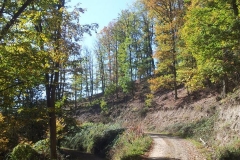 006-kutjevo-biciklisticka-ruta