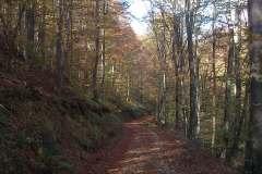 007-kutjevo-biciklisticka-ruta