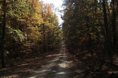 008-kutjevo-biciklisticka-ruta