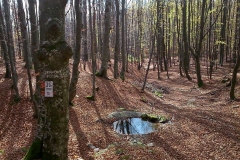 005-drenovac-ivacka-glava-orahove-vode-maliscak-velika-jankovac