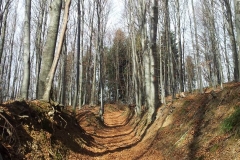 013-drenovac-ivacka-glava-orahove-vode-maliscak-velika-jankovac