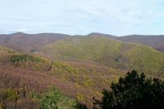 015-drenovac-ivacka-glava-orahove-vode-maliscak-velika-jankovac
