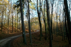 002-mecsek-hungary-biciklisticka-ruta