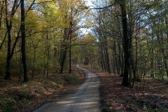 003-mecsek-hungary-biciklisticka-ruta