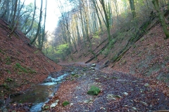 008-mecsek-hungary-biciklisticka-ruta