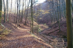009-mecsek-hungary-biciklisticka-ruta