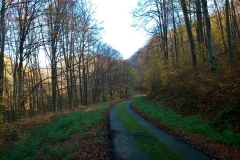 010-mecsek-hungary-biciklisticka-ruta