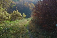 011-mecsek-hungary-biciklisticka-ruta