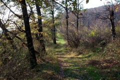 012-mecsek-hungary-biciklisticka-ruta