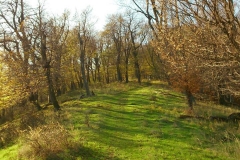 014-mecsek-hungary-biciklisticka-ruta