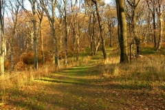 017-mecsek-hungary-biciklisticka-ruta