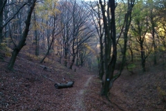 018-mecsek-hungary-biciklisticka-ruta