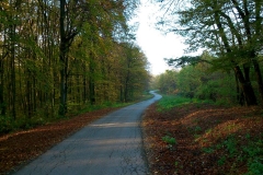 003-daruvar-petrov-vrh-biciklisticka-ruta