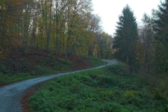 004-daruvar-petrov-vrh-biciklisticka-ruta