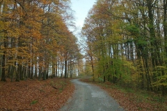 005-daruvar-petrov-vrh-biciklisticka-ruta