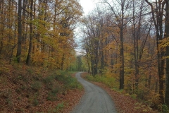 006-daruvar-petrov-vrh-biciklisticka-ruta