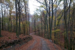 009-daruvar-petrov-vrh-biciklisticka-ruta