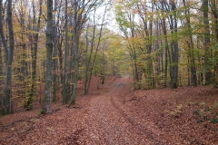 010-daruvar-petrov-vrh-biciklisticka-ruta