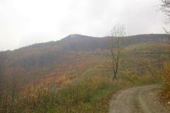 011-daruvar-petrov-vrh-biciklisticka-ruta