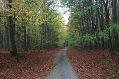 013-daruvar-petrov-vrh-biciklisticka-ruta