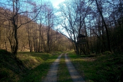 006-moticina-pijeskovi-biciklisticka-ruta