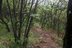 002-jezero-orfu-biciklisticka-ruta