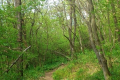 004-jezero-orfu-biciklisticka-ruta