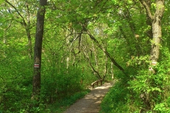 010-jezero-orfu-biciklisticka-ruta