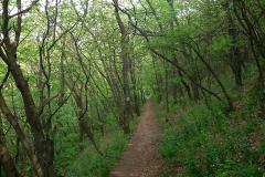 013-jezero-orfu-biciklisticka-ruta