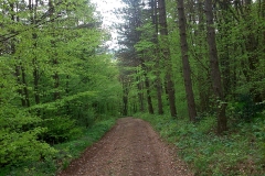024-jezero-orfu-biciklisticka-ruta
