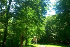 010-moticina-staklana-biciklisticka-ruta