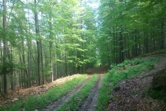 011-moticina-staklana-biciklisticka-ruta