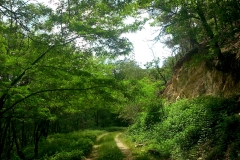 012-moticina-staklana-biciklisticka-ruta