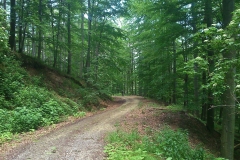 013-moticina-staklana-biciklisticka-ruta