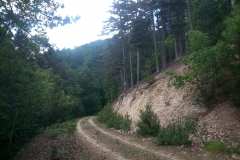 015-moticina-staklana-biciklisticka-ruta