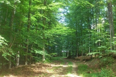 03-moticina-staklana-biciklisticka-ruta